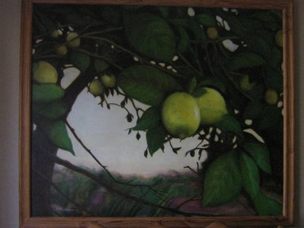 "limonero"