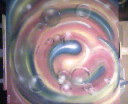 antrophomorfius-regularis