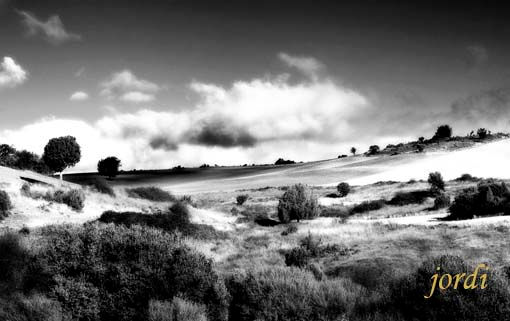 Campos de Soria Naturaleza Color (Digital)