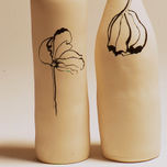 botellas thumbnail 1