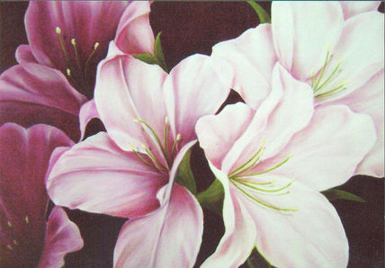 Flores rosadas