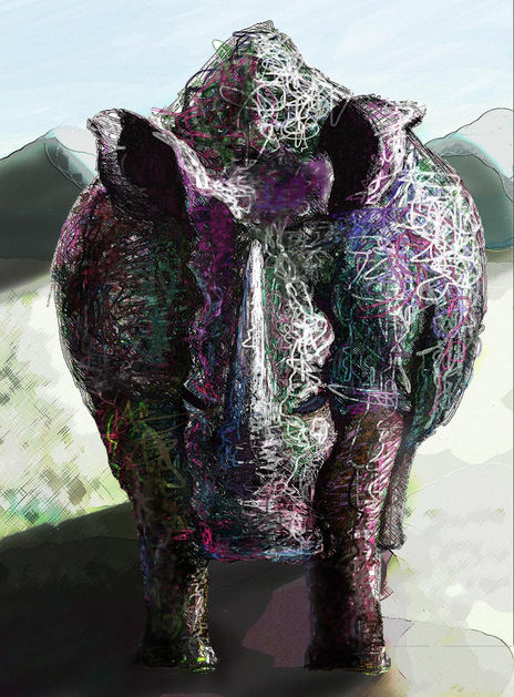 Rinos