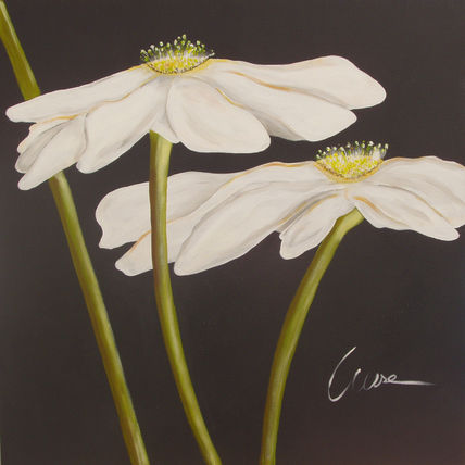 Flores blancas