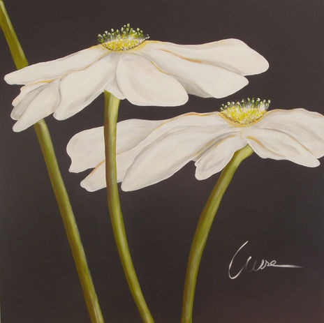 Flores blancas