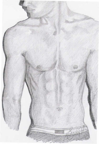 Torso 