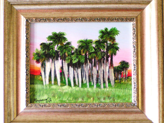 palmas  Barrigonas Oil Canvas Landscaping