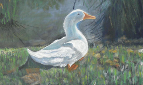ANIMALES