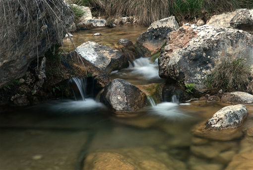 Rio Naturaleza Color (Digital)