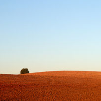 Campos de Soria