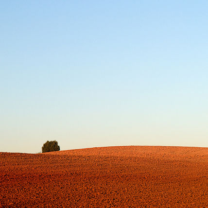Campos de Soria