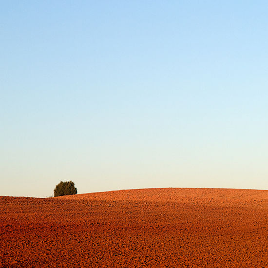 Campos de Soria Naturaleza Color (Digital)