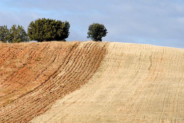 Campos de Soria Nature Color (Digital)