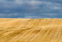 Campos de Soria