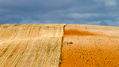 Campos de Soria