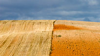 Campos de Soria