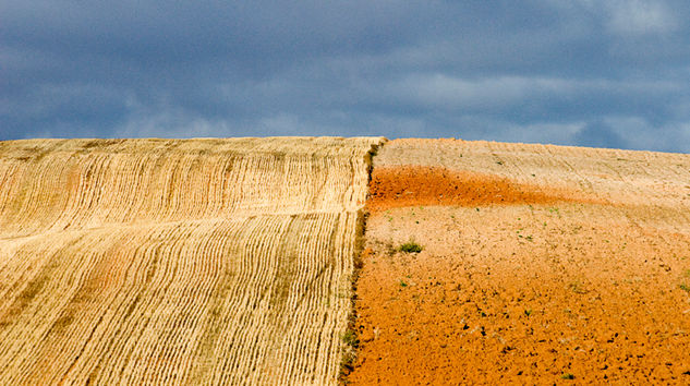 Campos de Soria Naturaleza Color (Digital)