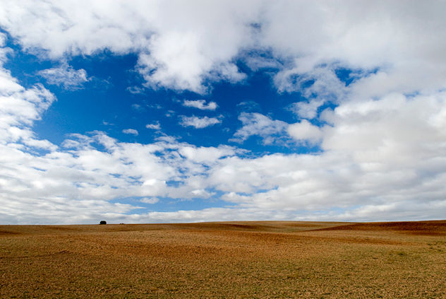 Campos de Soria