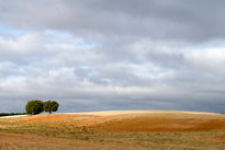 Campos de Soria