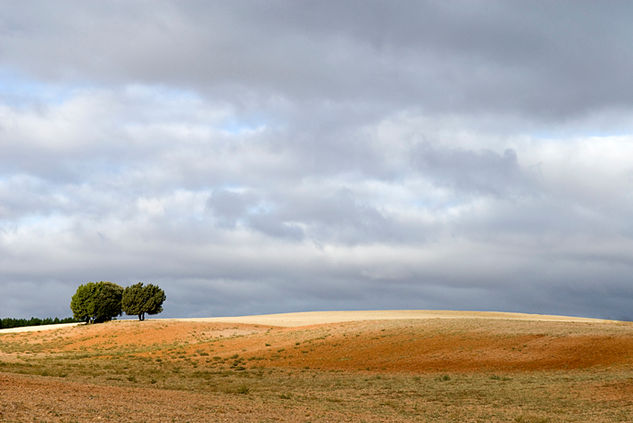 Campos de Soria Naturaleza Color (Digital)