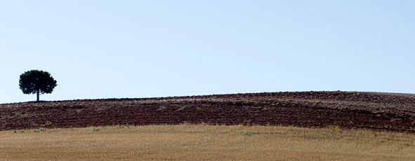 Campos de Soria Nature Color (Digital)