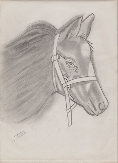 Caballo Graphite