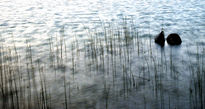 Llac de Banyoles