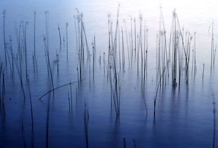 Llac de Banyoles