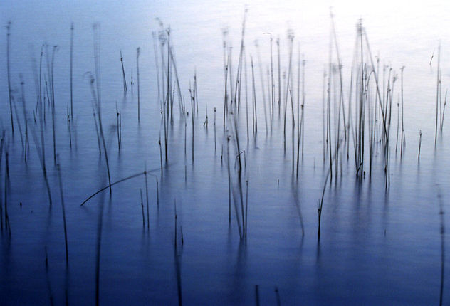 Llac de Banyoles