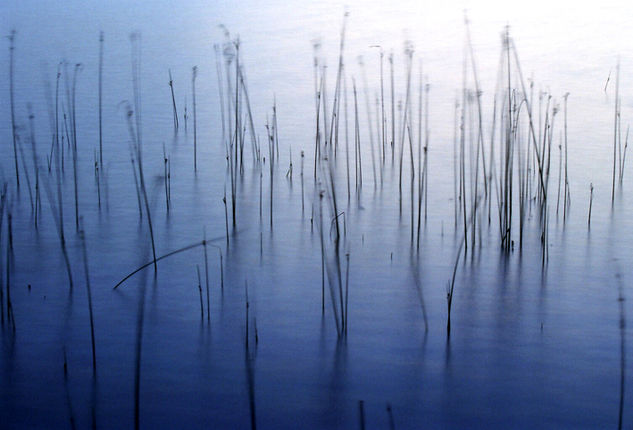 Llac de Banyoles Nature Color (Manual)