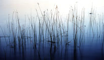 Llac de Banyoles