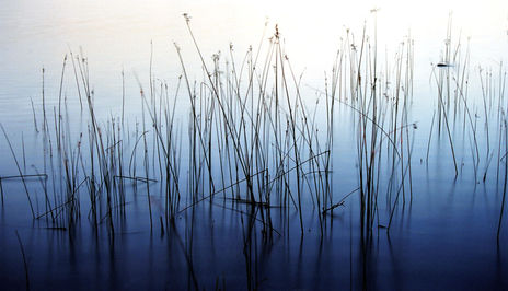 Llac de Banyoles