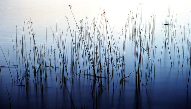 Llac de Banyoles Nature Color (Manual)