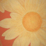 NATURALEZA thumbnail 1