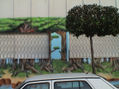 COLEGIO C.E.I.P.