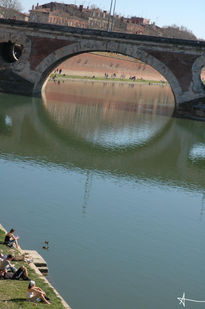 El huevo de Toulouse