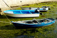 BARCAS