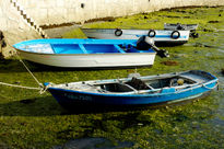 Barcas