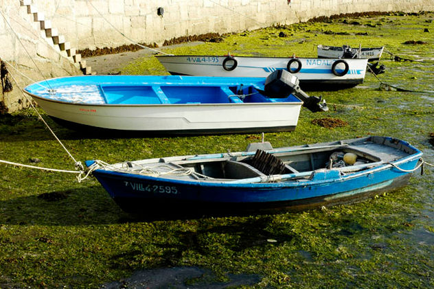 BARCAS