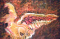 angel carlos