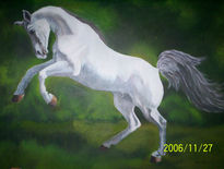 Corcel Blanco