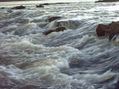 AGUA,VIDA,SALTO CHICO