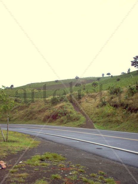 Caminos