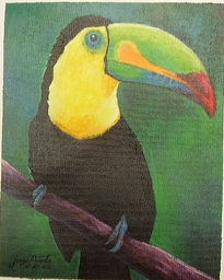 Tucan