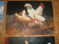 Gallinas2