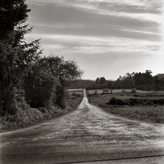 Caminos Secundarios 