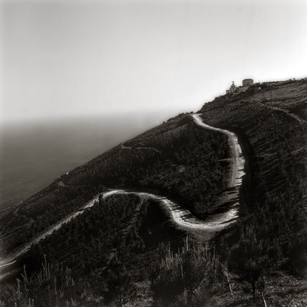 Caminos Secundarios III Naturaleza Blanco y Negro (Digital)