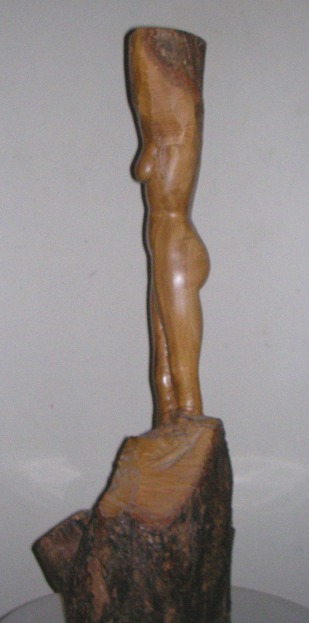 sin titulo