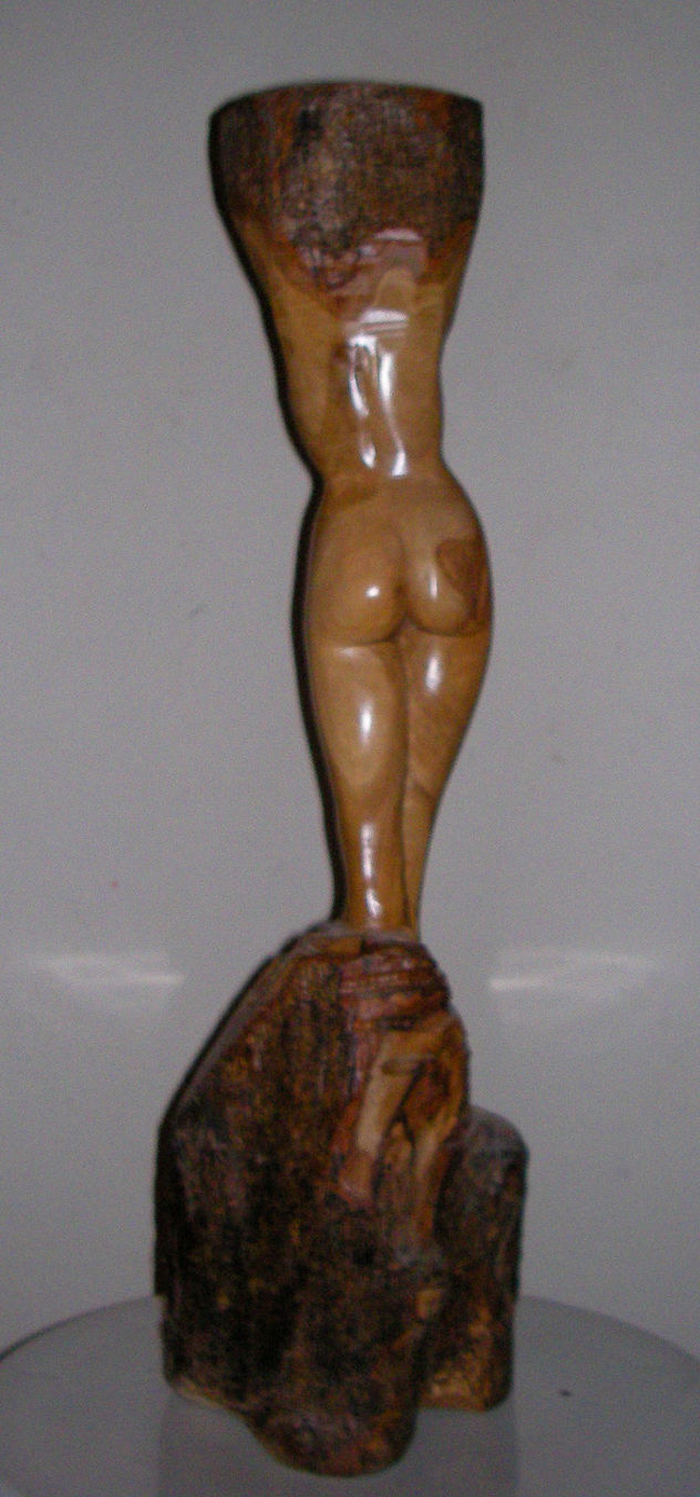 sin titulo