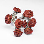 Flores thumbnail 1