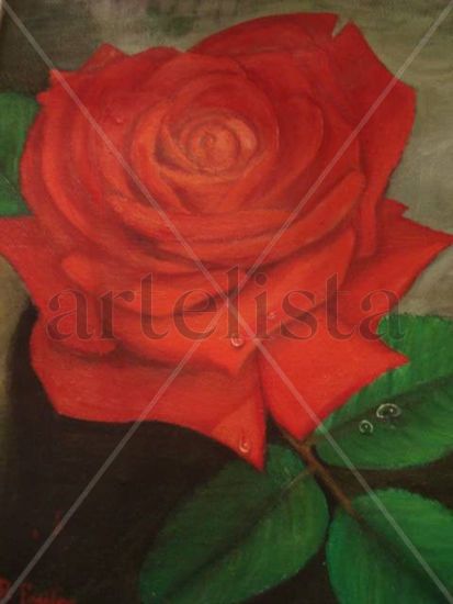 Rosa roja Oil Canvas Floral Painting